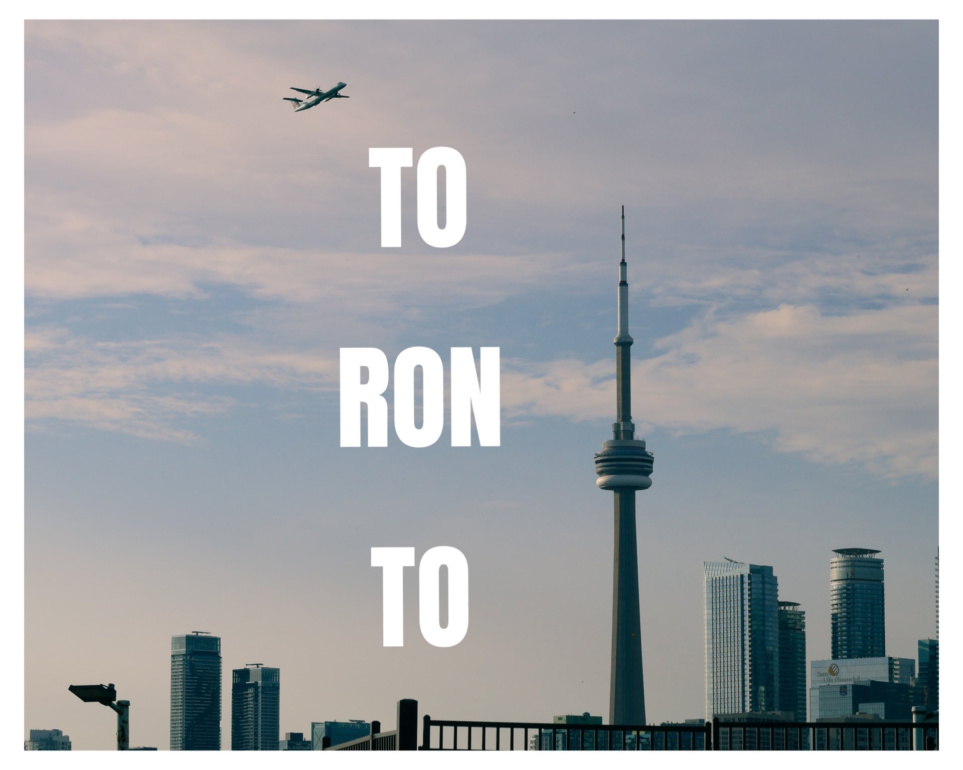 Jay Clicks Photography - Peaceful Gaze