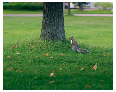 Jay Clicks Photography - Lasting Memories